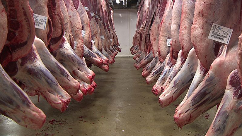 Carne de ternera en las cámaras frigoríficas de Mercabarna