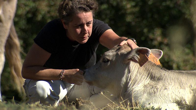 Fernanda establece una relación personal con los animales