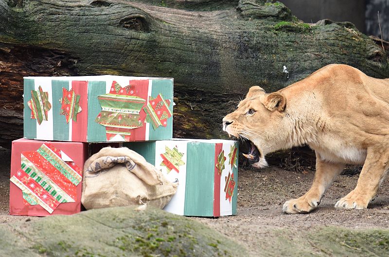 El espíritu de la Navidad llega a casi todos los rincones del planeta