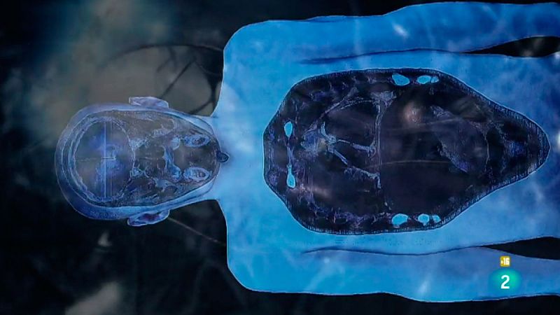 La ciencia forense cuenta cada vez con técnicas más fiables