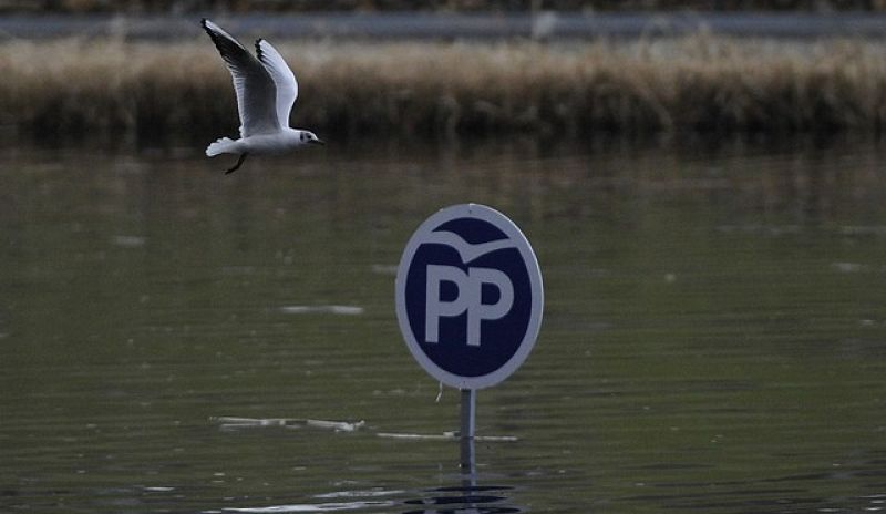 Una gaviota vuela sobre el logo del PP