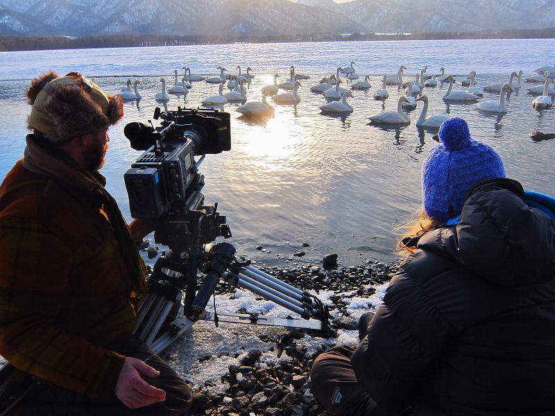 Japón salvaje: Toby Strong y Sara Douglas filmando cisnes cantores en el Lago Kussharo, Hokkaido