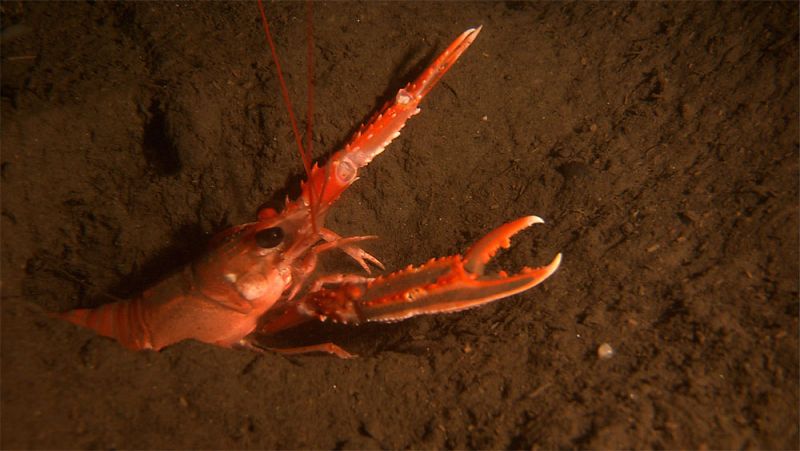 El sorprendente estrecho Skagerrak