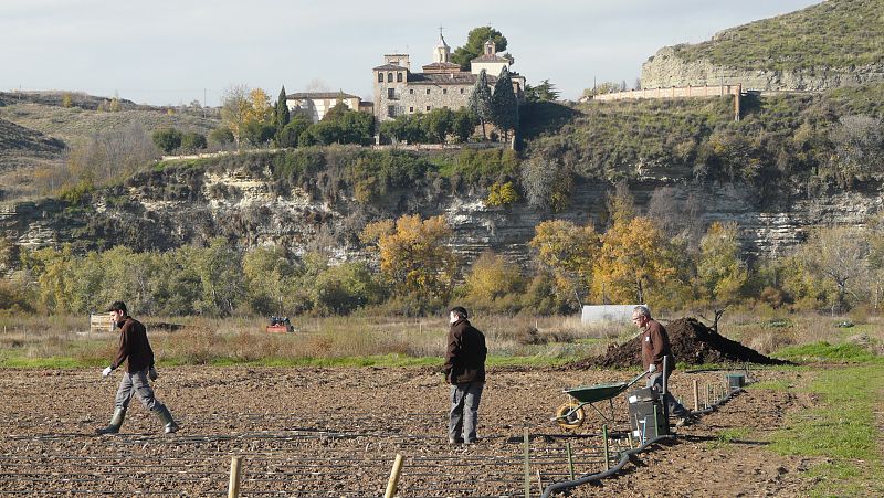 En el huerto ecológico en Rivas-Vaciamadrid