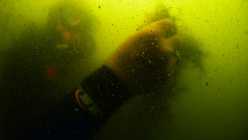 En los videos de ANSE se aprecia la degradación de los fondos marinos