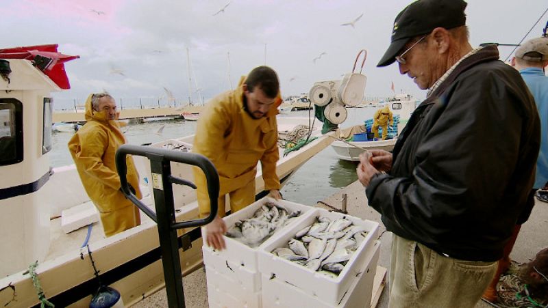 Los pescadores de la laguna han notado la ausencia de alevines