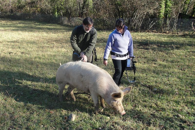 Magdalena acompaña al equipo