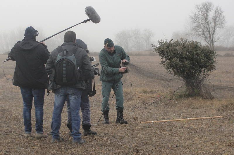 Red de cazadores furtivos de fringílidos o pájaros cantores