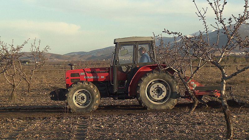 El excesivo labrado de los campos juega a favor de la desertificación