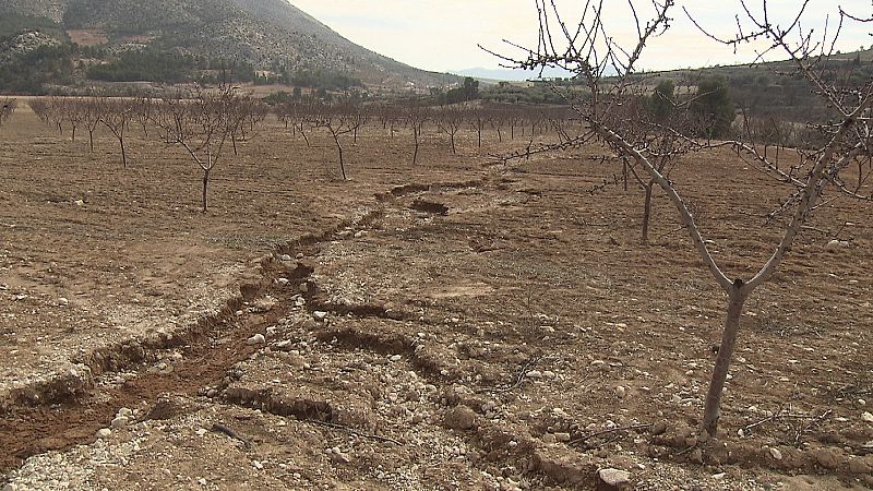 La lluvia se lleva cada año millones de toneladas de tierra