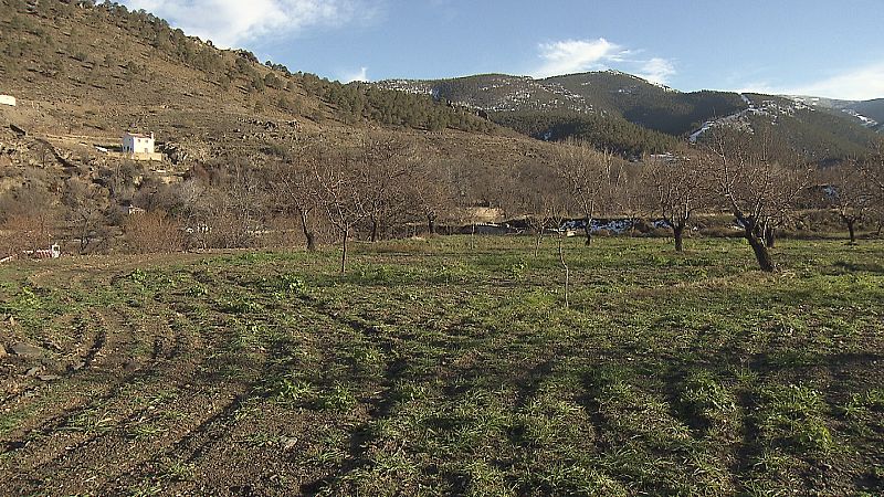 Los campos con vegetación retienen mucho mejor el agua de la lluvia