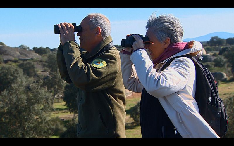 Observación de cigüeñas en Los Barruecos, Cáceres