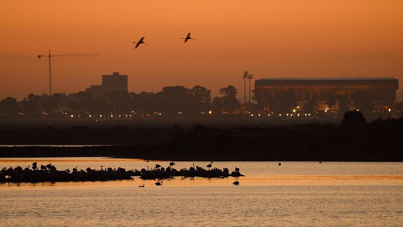 El amanecer en las marismas: Proyecto europeo 'Coro del amanecer'