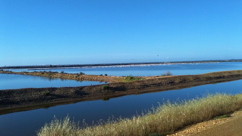 El amanecer en las marismas: Proyecto europeo 'Coro del amanecer'