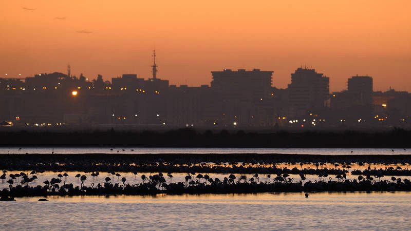  El amanecer en las marismas: Proyecto europeo 'Coro del amanecer'