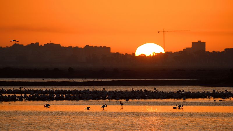 Proyecto europeo 'Coro del amanecer'