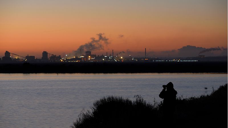 El amanecer en las marismas: Proyecto europeo 'Coro del amanecer'