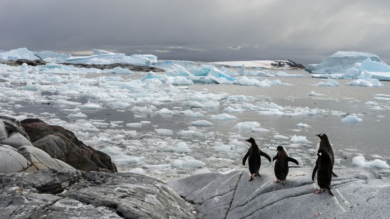 Los mares helados de los polos regulan el clima del planeta