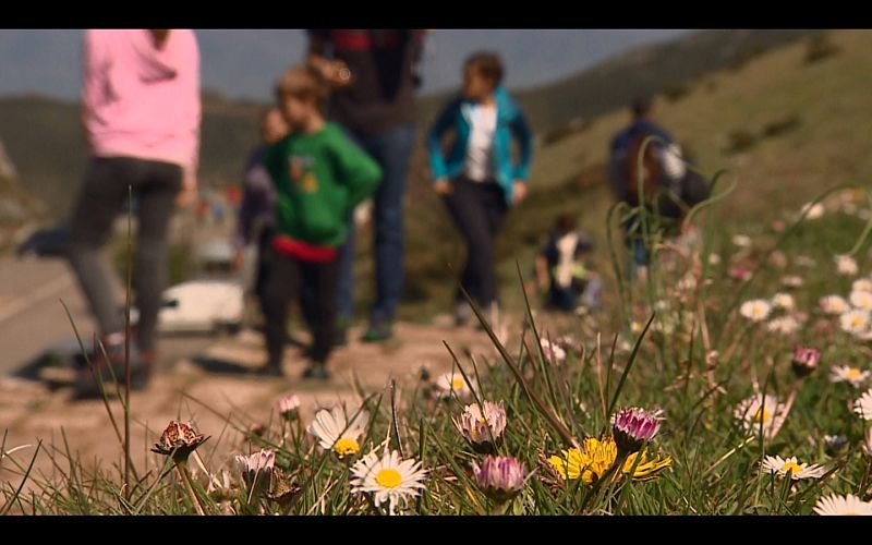 Turistas en los Lagos de Covadonga