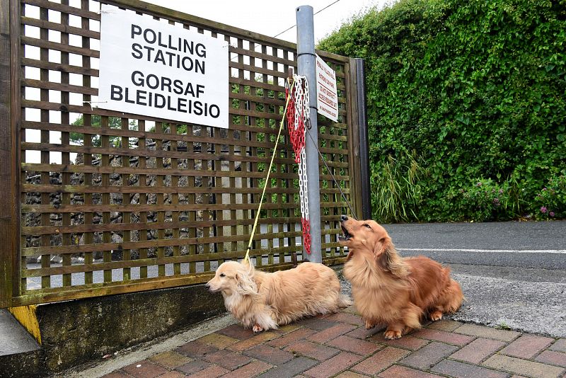 Las imágenes de perros esperando a sus dueños en las puertas de los colegios electorales son ya habituales en las elecciones británicas, e incluso se comparten en redes sociales con la etiqueta #DogsAtPollingstations. La imagen está tomada en Penally