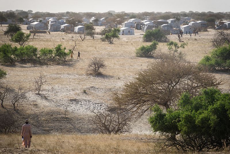 A Dar es Salaam llegaron más de 7.000 personas desde Nigeria cuando los ataques de Boko Haram se recrudecieron.