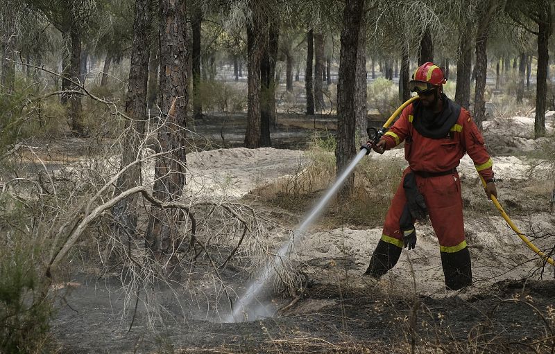 Los bomberos intentan evitar que el incendio amenaza Doñana.