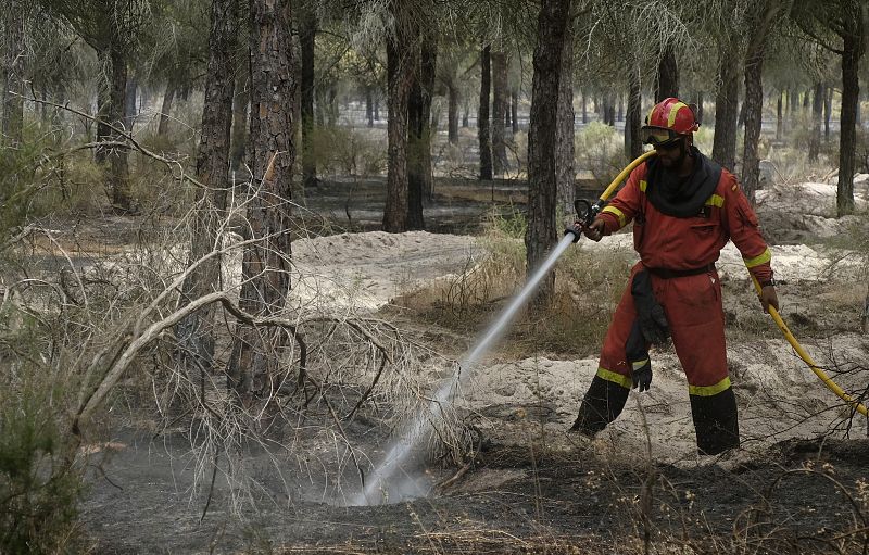 Los bomberos intentan evitar que el incendio amenaza Doñana.