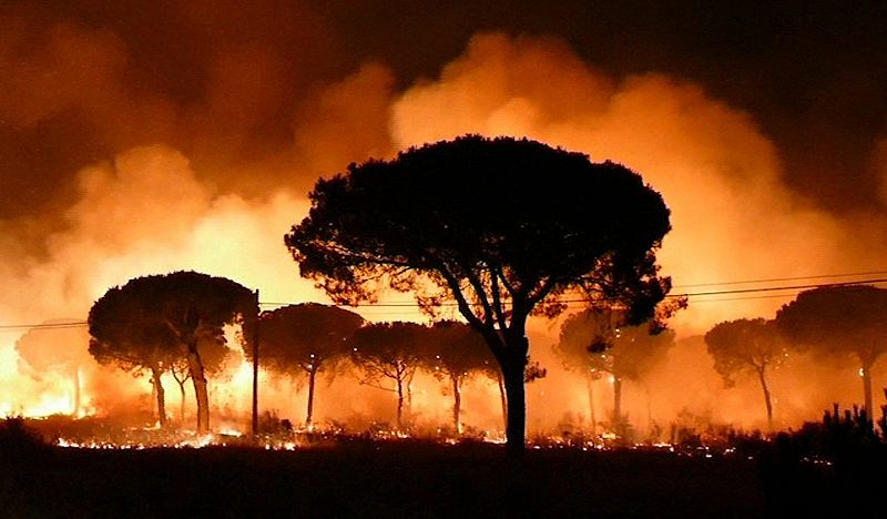 Imagen del incendio durante la noche. El fuego se declaró en el paraje de La Peñuela de Moguer (Huelva).