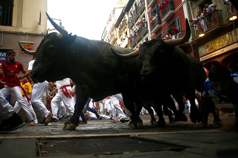 Carrera muy veloz de la ganadería abulense Los toros de José Escolar han sido muy veloces El grueso de la manada había llegado a los chiqueros de la plaza cuando habían transcurrido dos minutos y medio