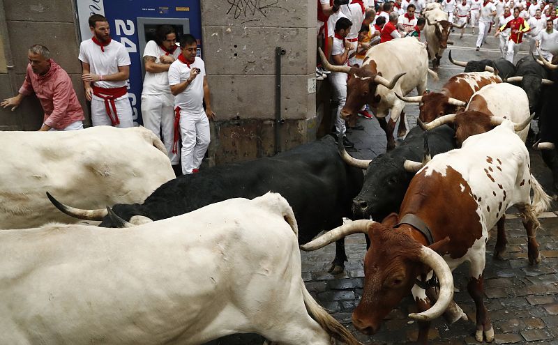 Mientras Huracán tomaba la delantera, los otros cinco toros de la debutante ganadería salmantina de Puerto de San Lorenzo han permanecido muy agrupados con los cabestros durante el recorrido