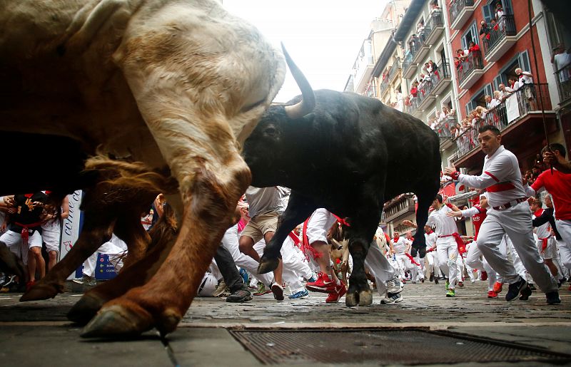 Los toros de Fuente Ymbro son grandes, astifinos y muy veloces. Llegan a Pamplona desde San José del Valle, en Cádiz, donde les entrenan