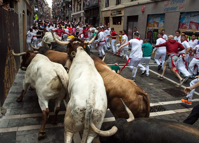 Los toros de Fuente Ymbro participan en los encierros de San Fermín por demicotercer año consecutivo con una tasa muy baja de corneados, solo cinco en todo ese tiempo