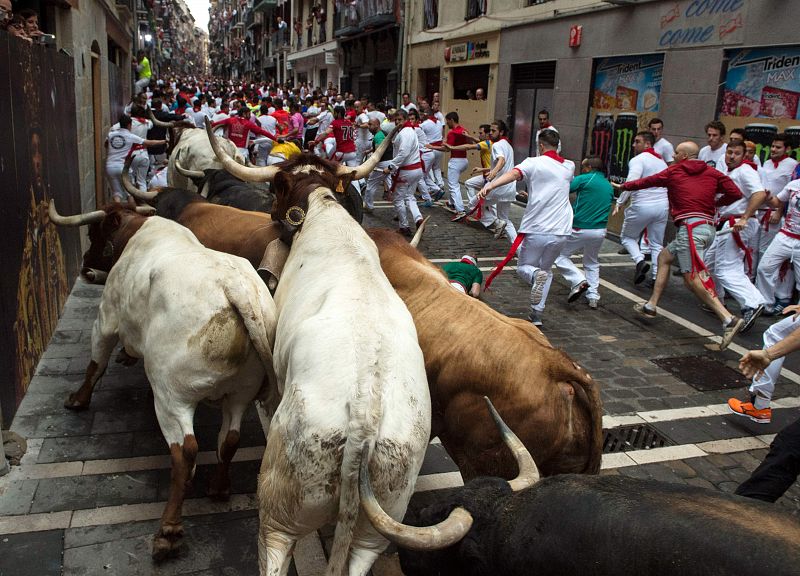 Los toros de Fuente Ymbro participan en los encierros de San Fermín por demicotercer año consecutivo con una tasa muy baja de corneados, solo cinco en todo ese tiempo
