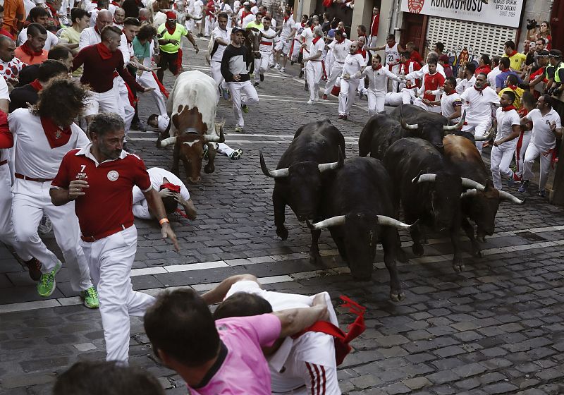 Muy rápidos y nobles