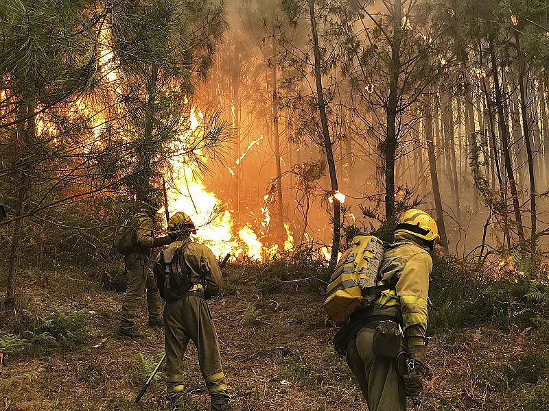 Efectivos del servicio de Bomberos durante las labores de extinción del incendio producido en Pazos de Borbén