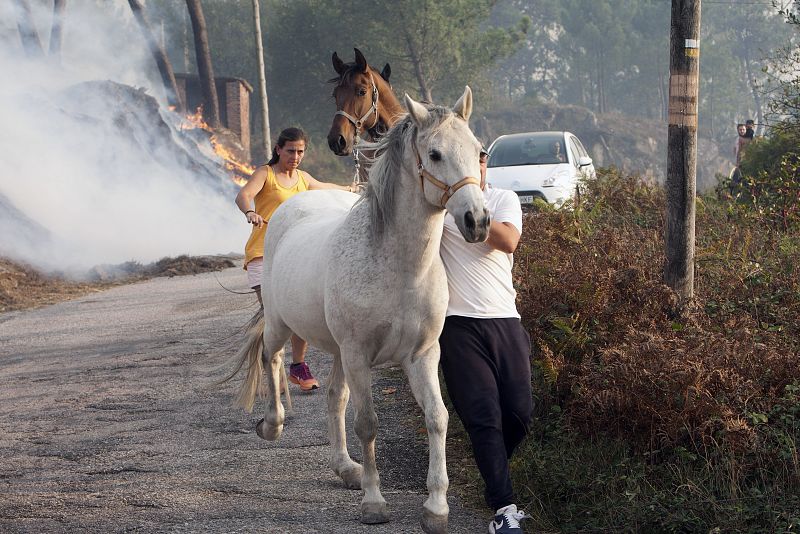 INCENDIOS FORESTALES EN GALICIA