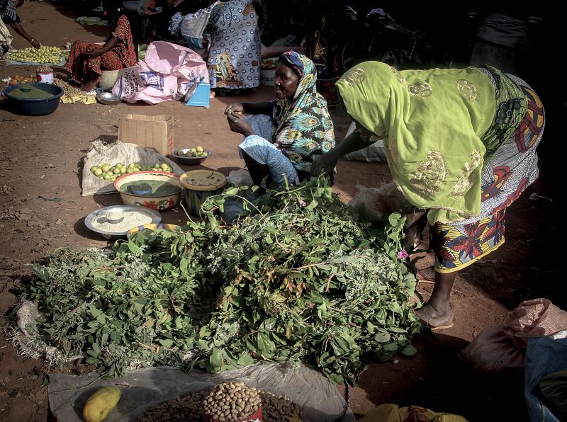 Farmacia donde comprar las hierbas recetadas por los curanderos que, en materia de malnutrición, están apostando por la medicina moderna.