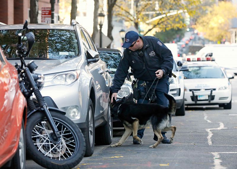 Un perro policía inspecciona los vehículos alrededor de la zona del atentado