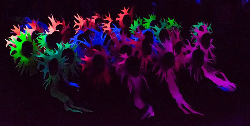 'Todo comienza y termina con las neuronas', fotografía seleccionada en la modalidad ¿La ciencia en al aula"