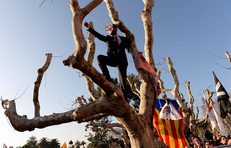 Uno de los manifestantes independentistas se encarama a uno de los árboles del parque de la Ciudadela