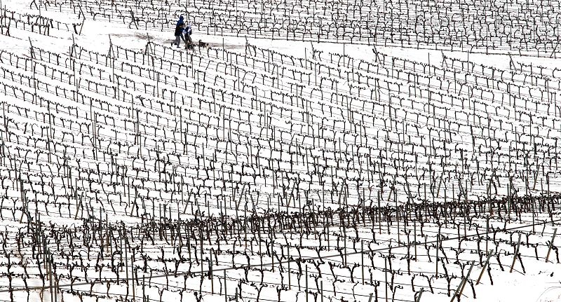 La Rioja mantiene la alerta naranja por nieve y bajas temperaturas