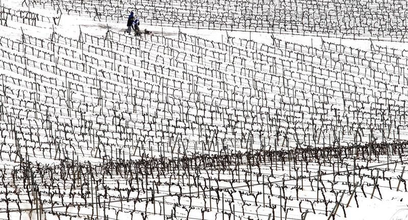 La Rioja mantiene la alerta naranja por nieve y bajas temperaturas