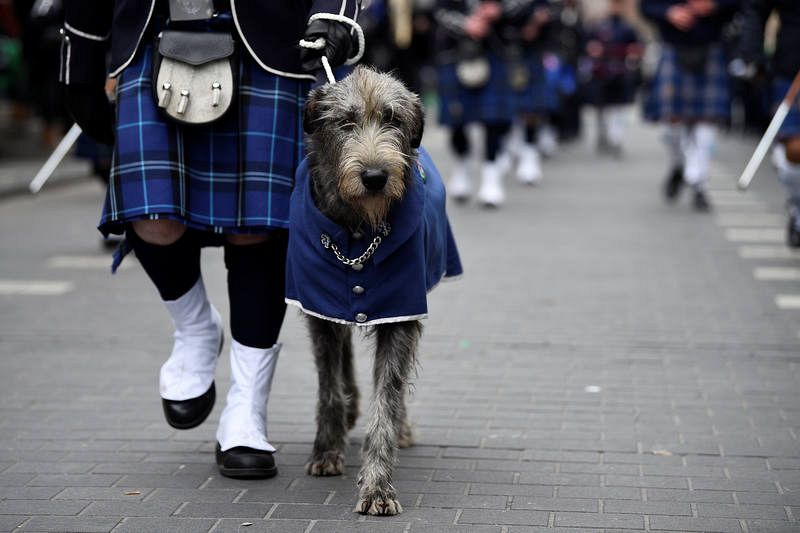 Desfile de San Patricio en Dublín