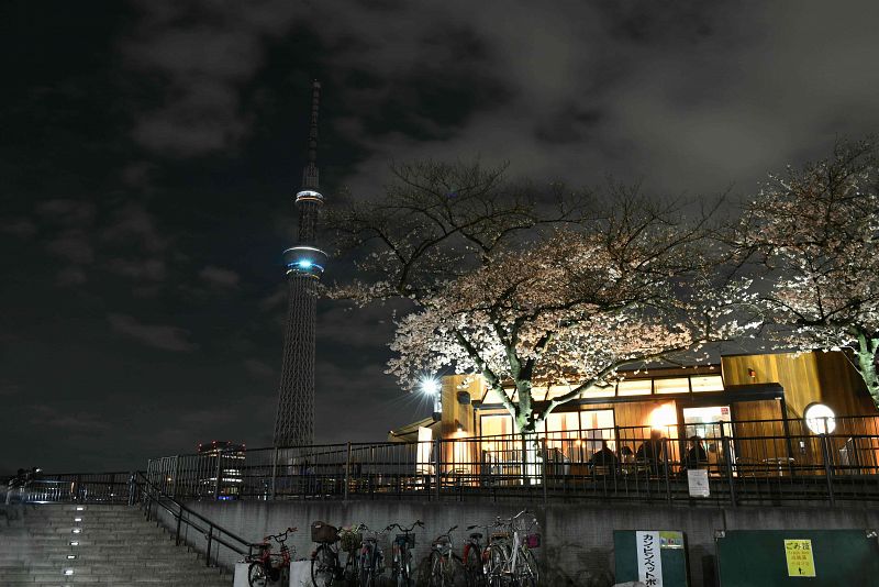 La oscuridad envuelve a la torre más alta de Tokio, Tokyo Skytree