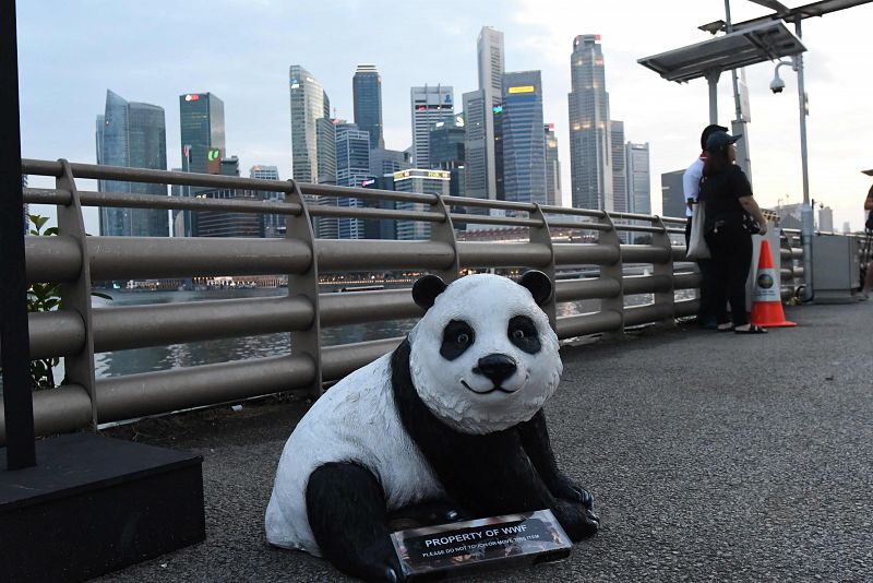 Un panda, mascota de WWF, en Singapur antes de la cuenta atrás para la Hora del Planeta