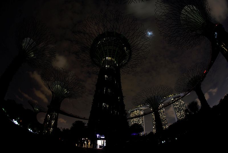 Los Jardines de la Bahía de Singapur en completa oscuridad