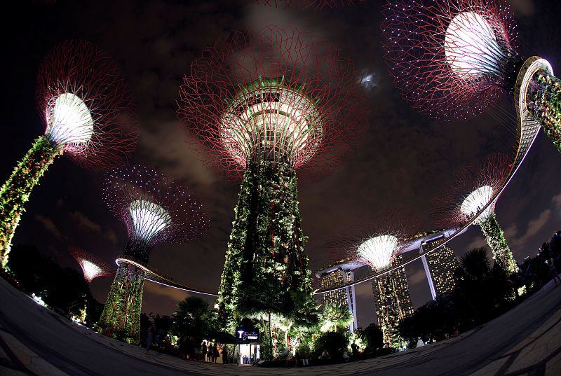 Los Jardines de la Bahía de Singapur aparecen iluminados instantes antes del inicio de la Hora del Planeta