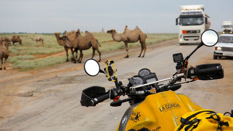 Kazajistán. Camellos invadiendo la carretera kazaja. La naturaleza imponiéndose sobre el paso del hombre