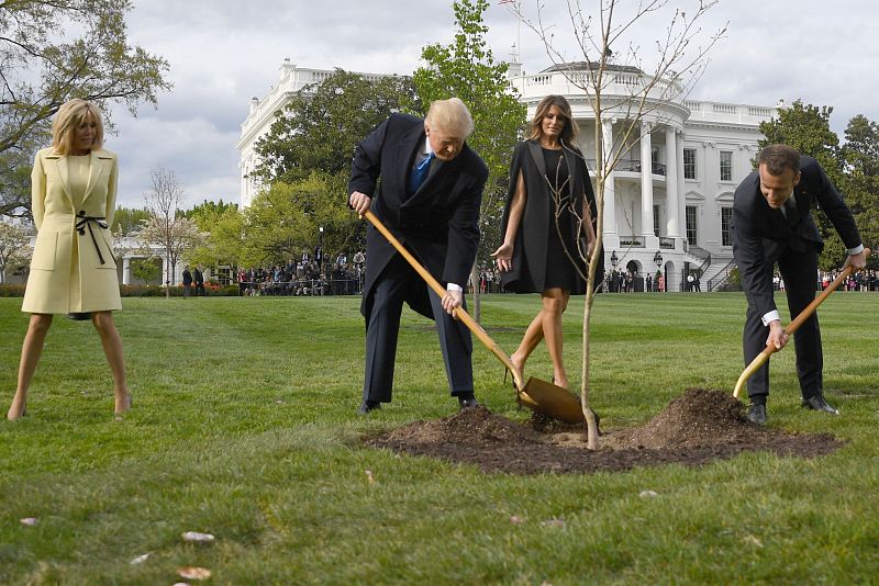 Los Trump y los Macron plantan un árbol en la Casa Blanca