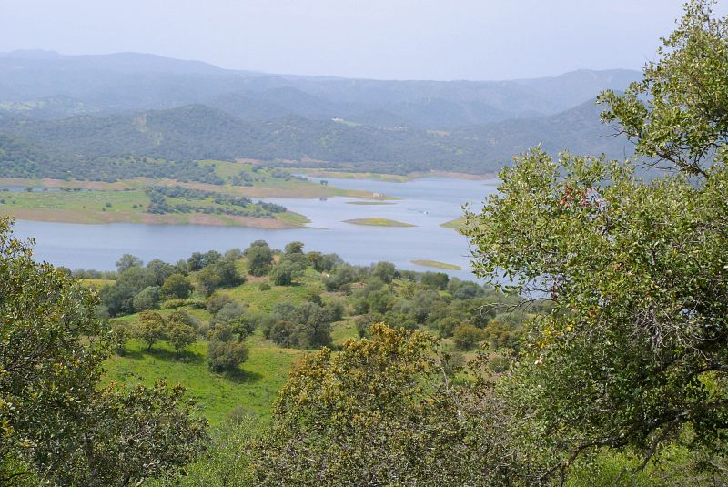 Una de las fincas donde se suelta el lince